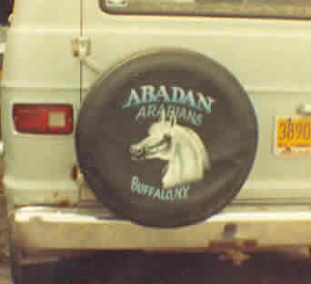 Abadan Arabians Logo