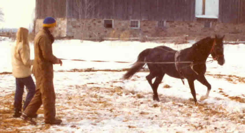 Joni, Clarke & Velzaddah