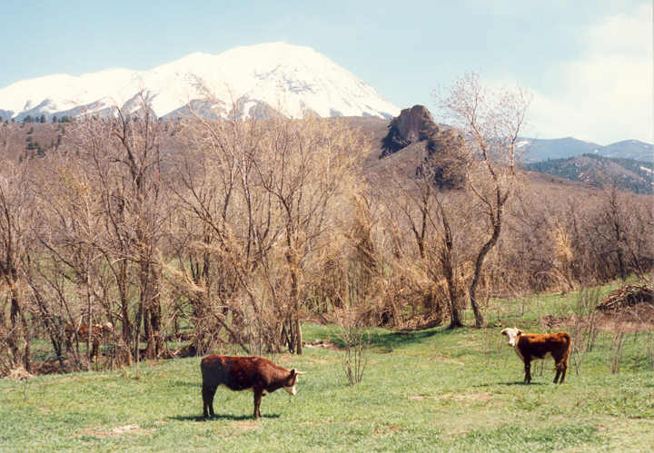 Colorado Ranch